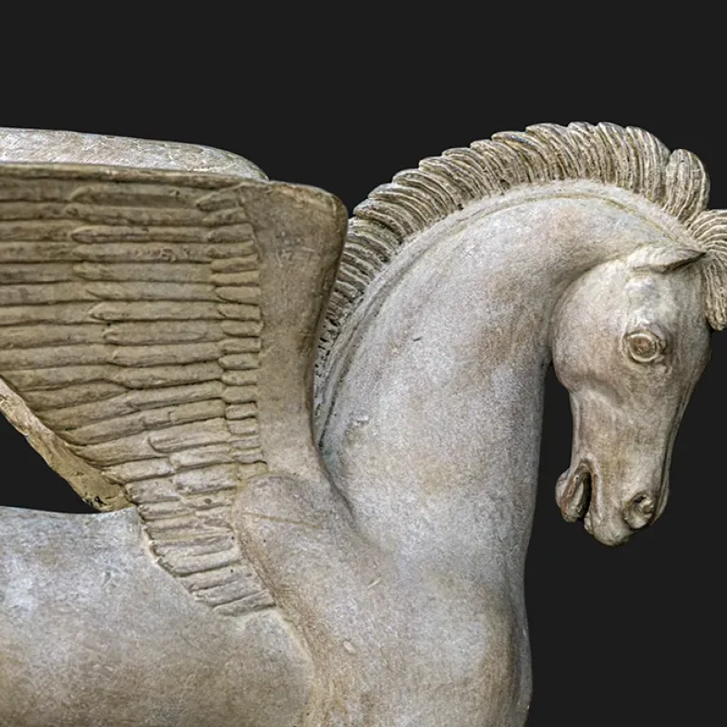 PEGASUS